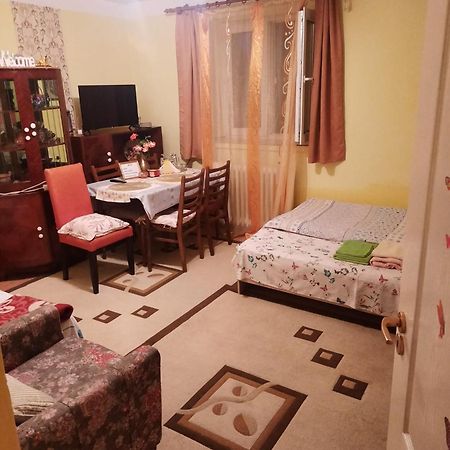 Apartament Cu Doua Camere Si Gradina Cluj-Napoca Extérieur photo