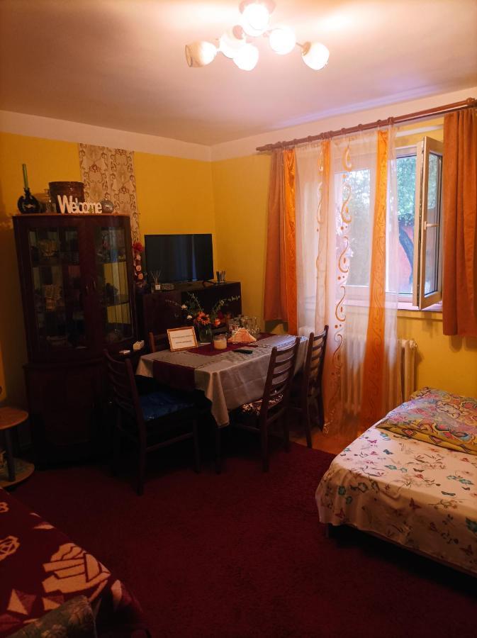 Apartament Cu Doua Camere Si Gradina Cluj-Napoca Extérieur photo