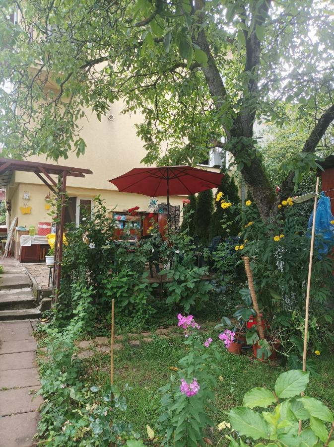 Apartament Cu Doua Camere Si Gradina Cluj-Napoca Extérieur photo