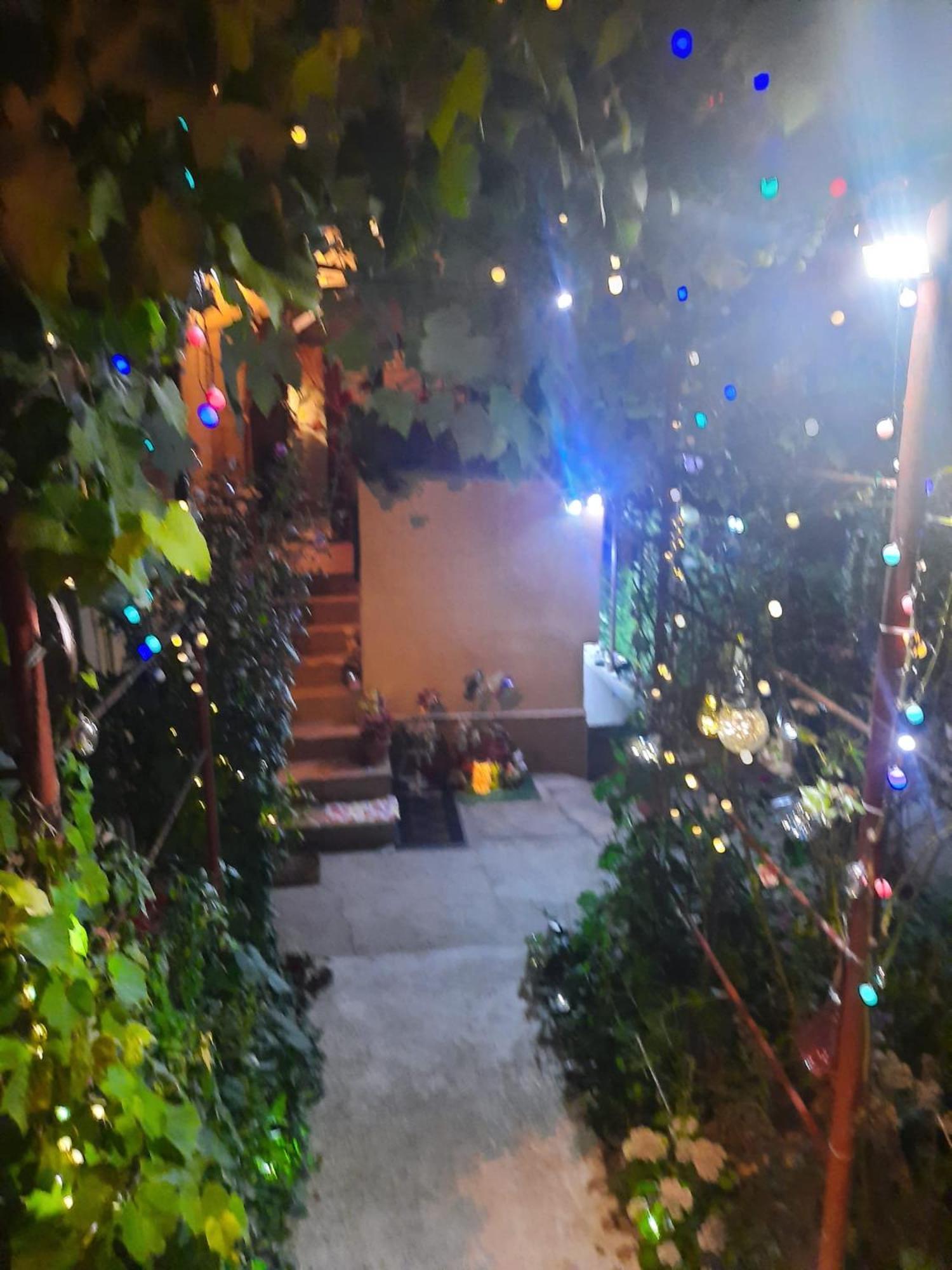 Apartament Cu Doua Camere Si Gradina Cluj-Napoca Extérieur photo