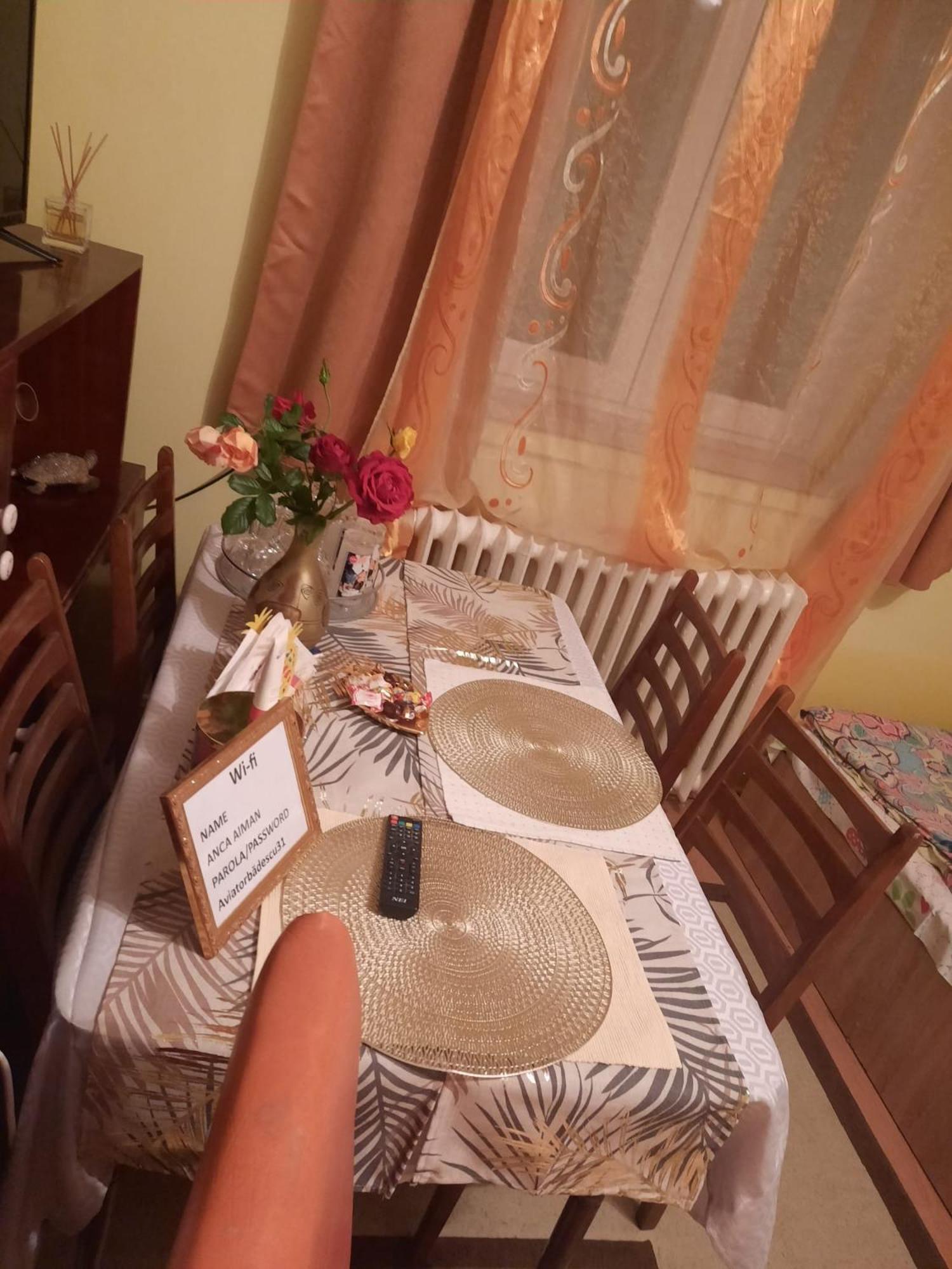 Apartament Cu Doua Camere Si Gradina Cluj-Napoca Extérieur photo